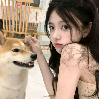 格斗风云